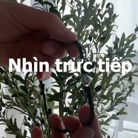 Nhìn bên trong